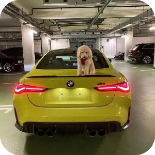 🚗