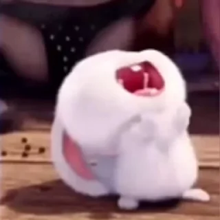 😂
