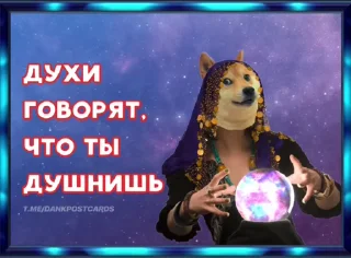 🌟