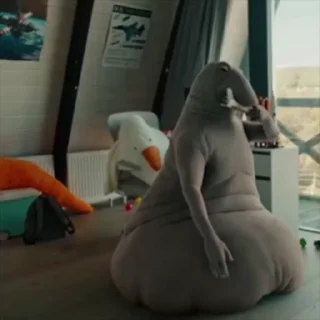 🤩