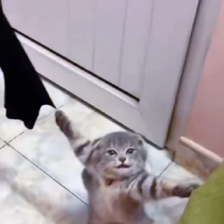🤩