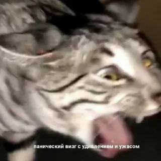 🤭