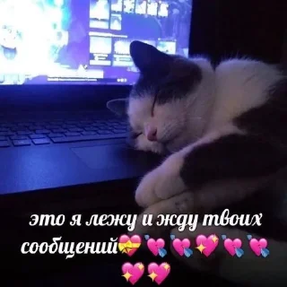 💝