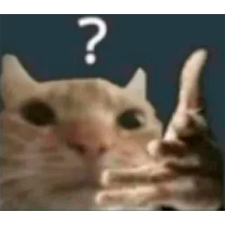 🤔