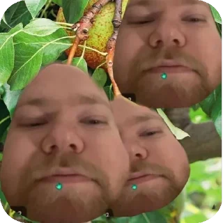 🍐