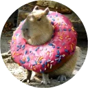 🍩