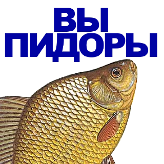 🐠