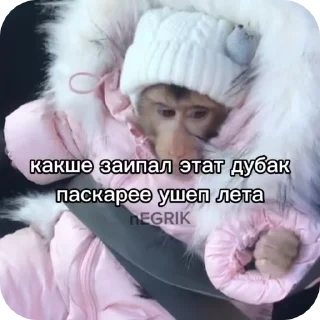 🌟