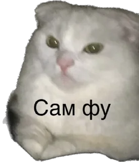 🤢