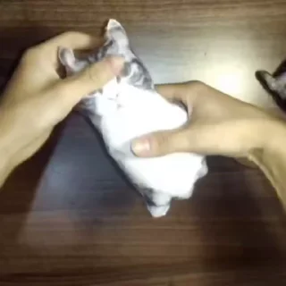 Комару видеос