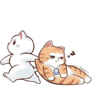 🐱