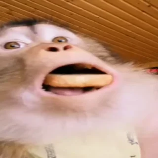 😦