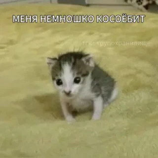 😵‍💫