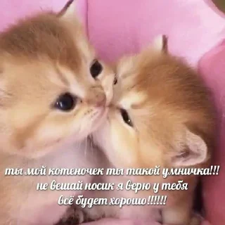 ❤️