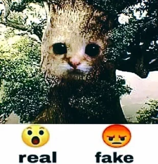 😲