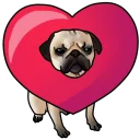 💖