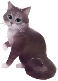 🐱