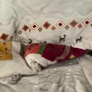 🐾