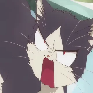🤨