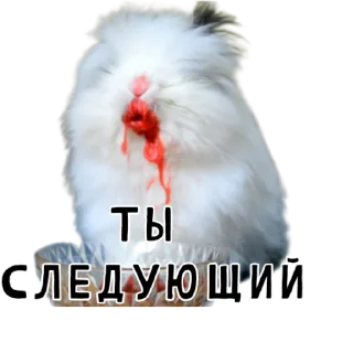 ⏭