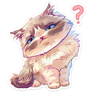 ❓