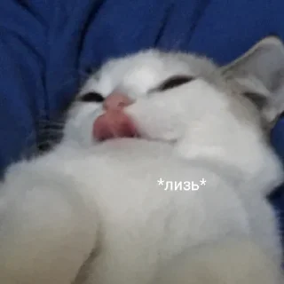 👅