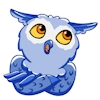 Owl Madness