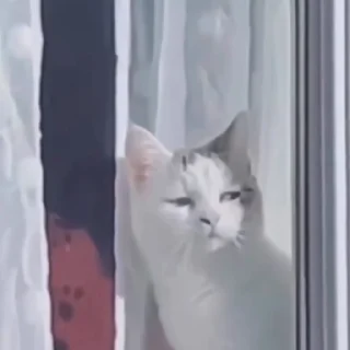 😑