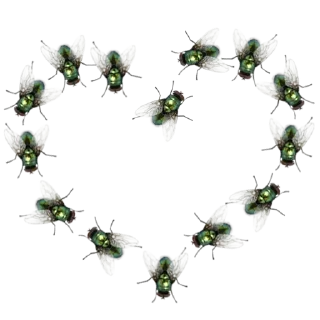 💚