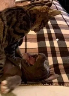 😵