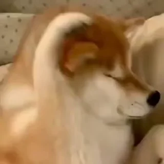 😢