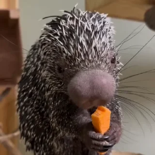 😋