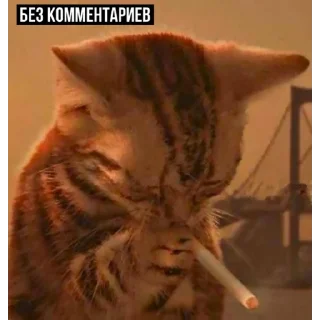 😒