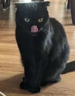 😋