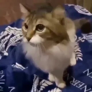 🤬