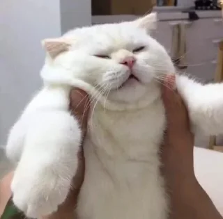 🤗