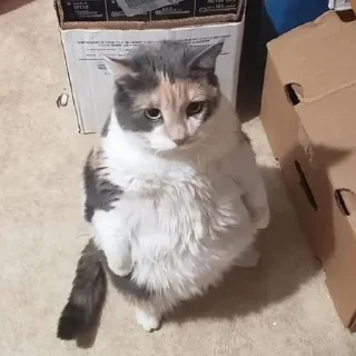 😟