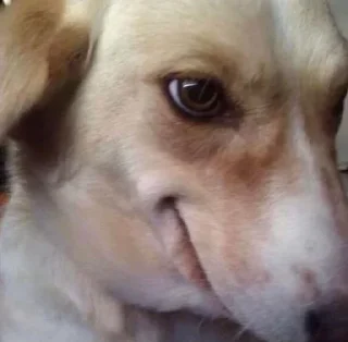 😏