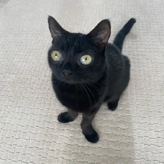 🙂