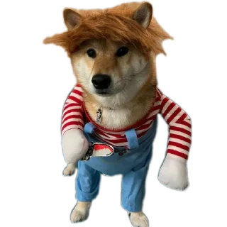 🐶