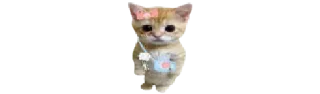 🐈