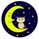 🌜