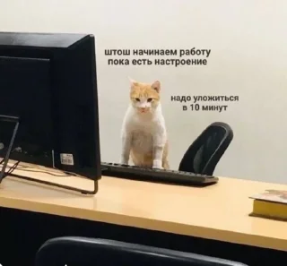 🧑‍💼