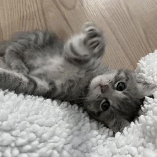 🤍