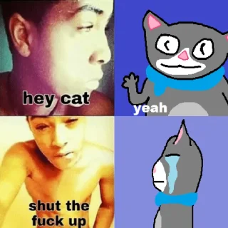 😿