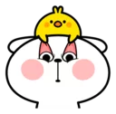 👀
