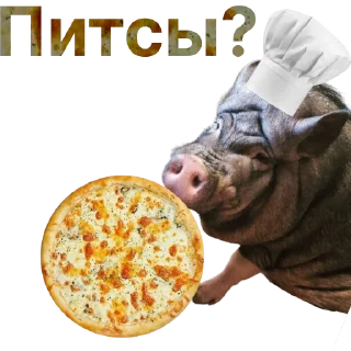 🍕