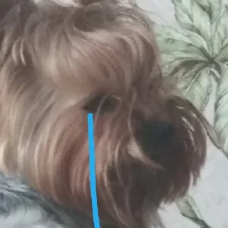 😭