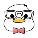 👓