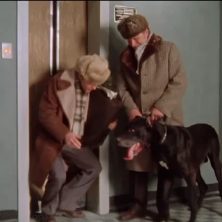 🐕‍🦺